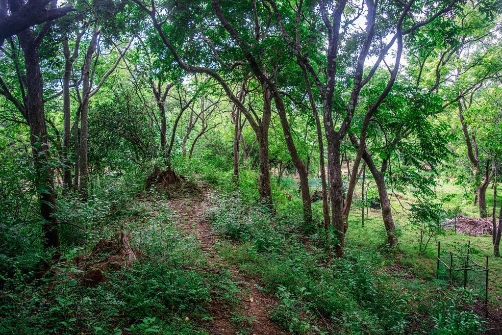 Wildescape Polonnaruwa Villa Екстериор снимка