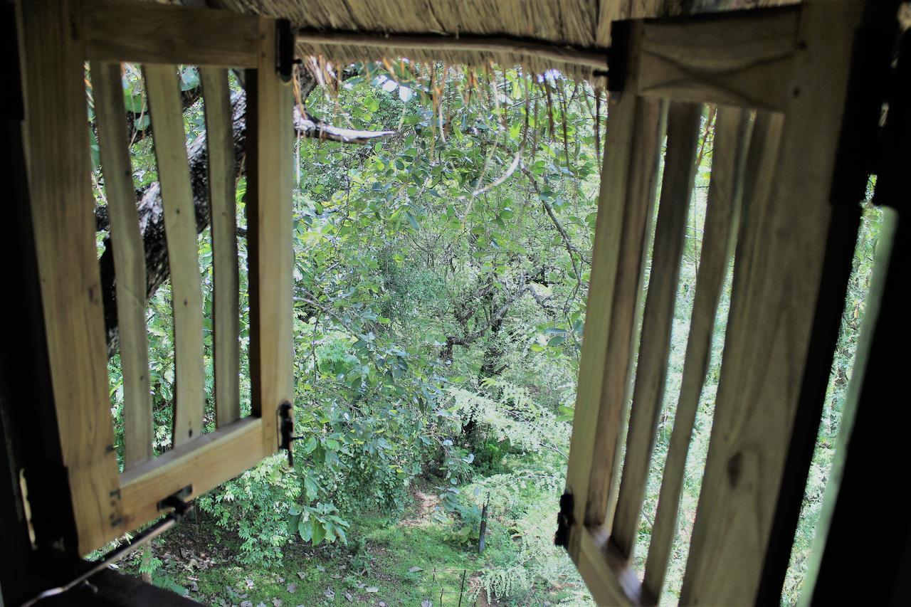 Wildescape Polonnaruwa Villa Екстериор снимка