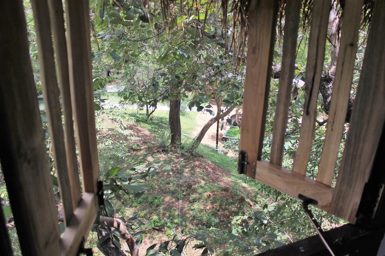 Wildescape Polonnaruwa Villa Екстериор снимка